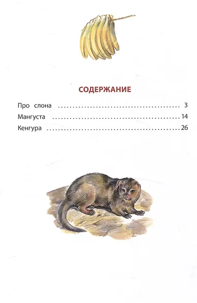 Рассказы о животных - фото 3