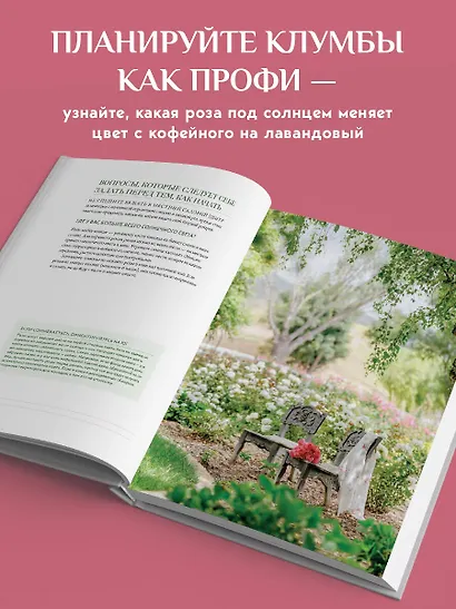 Садовые розы. Полное руководство по выращиванию, уходу и созданию потрясающих букетов - фото 7
