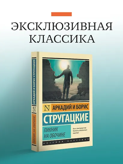 Пикник на обочине - фото 3