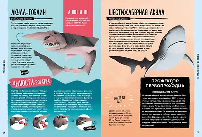 Мир вокруг тебя. Тайны мирового океана - фото 4