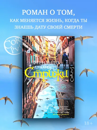 Стрижи - фото 3