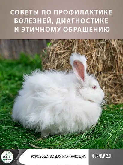 Ангорские кролики. Практическое руководство по содержанию - фото 7
