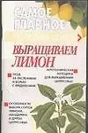 Лечение домашней кошки - фото 1