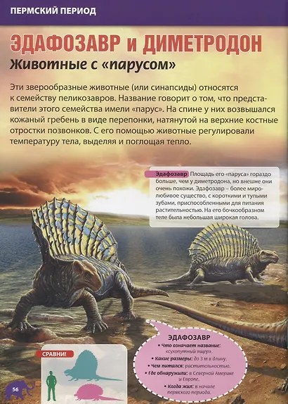 Энциклопедия динозавров и доисторических животных. Для детей от 6 до 12 лет - фото 5