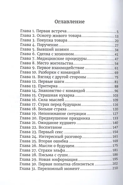 Эльф на удачу - фото 2