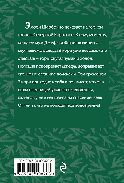 Хижина в горах - фото 2