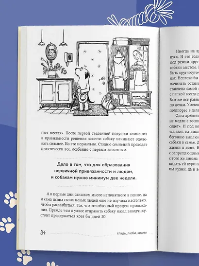 Гладь, люби, хвали. Нескучное руководство по воспитанию собаки (новое оформление 2026) - фото 12
