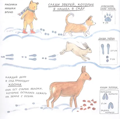 Зима мишки Бруно - фото 5