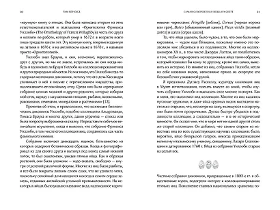 Самая совершенная вещь на свете: Внутри и снаружи птичьего яйца - фото 3
