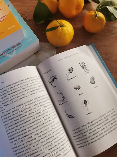 Иммуногид. Все, что вас волнует в иммунной системе от профессора-вирусолога - фото 9