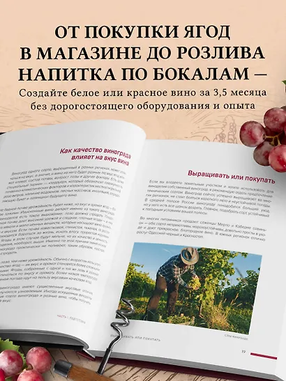 Домашнее виноделие от А до Я: виноградное вино. Пошаговое руководство - фото 5