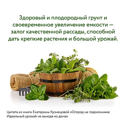 Огород на подоконнике. Идеальный урожай не выходя из дома - фото 12