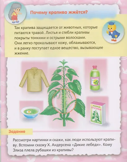 О природе - фото 4