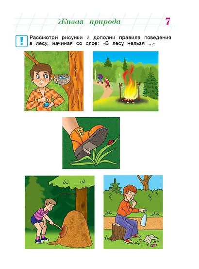 Изучаю мир вокруг: для детей 6-7 лет. Ч. 2 - фото 10