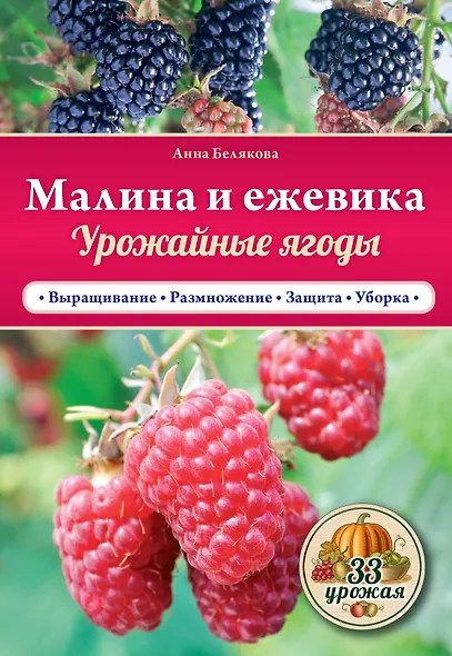 Малина и ежевика. Урожайные ягоды - фото 1