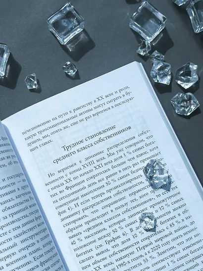 Краткая история равенства - фото 12