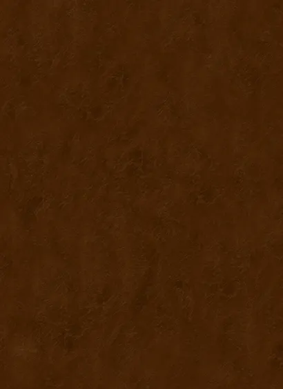 Библия. Книги Священного Писания Ветхого и Нового Завета - фото 2