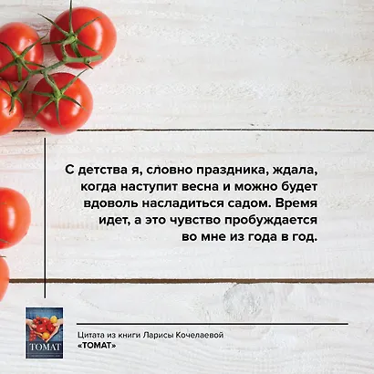 Томат. Выращиваем, ухаживаем и едим - фото 5