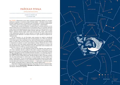 Атлас созвездий. Истории, рассказанные звездами - фото 6