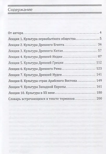 Культурология. Взгляд на мировую культуру. Тексты лекций - фото 2