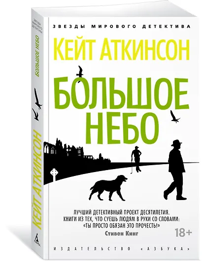 Большое небо - фото 2