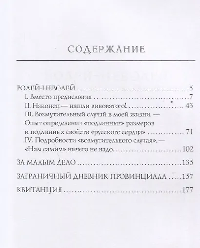 Заграничный дневник провинциала - фото 2
