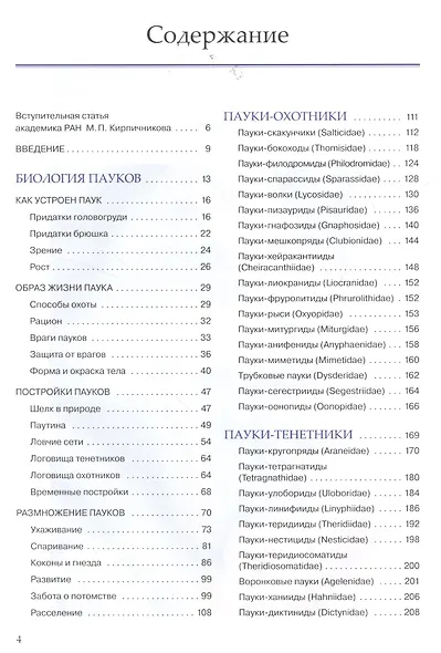 Пауки средней полосы России - фото 3