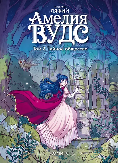 Амелия Вудс. Том 2. Тайное общество - фото 1