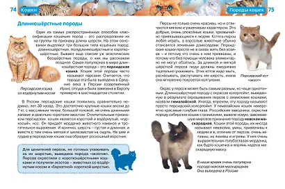 Кошки (ДЭР) - фото 2