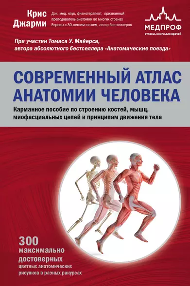 Современный атлас анатомии человека. Карманное пособие по строению костей, мышц, миофасциальных цепей и принципам движения тела - фото 1