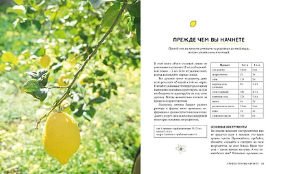 Подарок настоящему мужчине (комплект из 3-х книг) - фото 9
