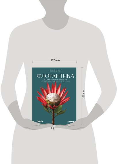 Флорантика. Истории, легенды, ботанические иллюстрации и искусство флористики - фото 4