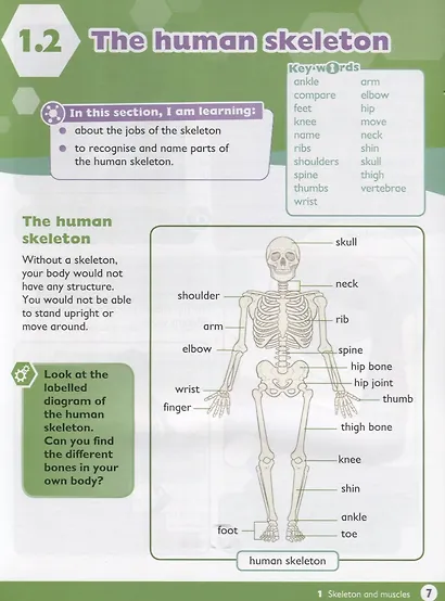 Max Science primary. Discovering through Enquiry. Student Book 4 - фото 5