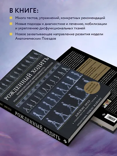 Рожденный ходить. Миофасциальная эффективность: революция в понимании механики движения - фото 6