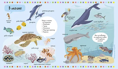 Главная книга малыша. Животные - фото 4