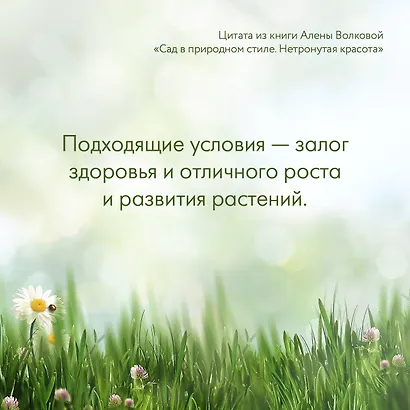 Сад в природном стиле. Нетронутая красота - фото 9