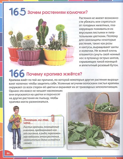 Большая энциклопедия для детей в вопросах и ответах - фото 9