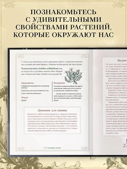 Травы. Магические запасы. Иллюстрированное руководство по сбору и заготовке волшебных растений, их полезным свойствам и сезонным ритуалам - фото 5