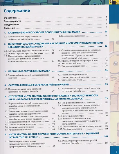 Цитологическая диагностика цервикальной патологии - фото 2