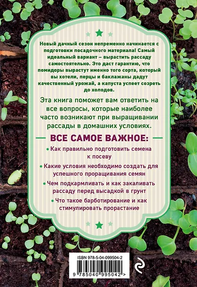 Рассада. Выращиваем сами - фото 2