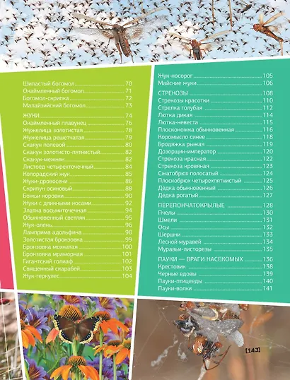 Большая энциклопедия о насекомых. 500 фотографий и фактов - фото 10