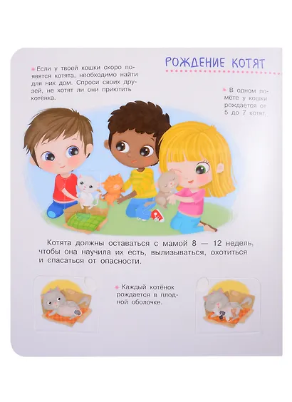 Что? Почему? Зачем? Про котят. 50 волшебных окошек - фото 4