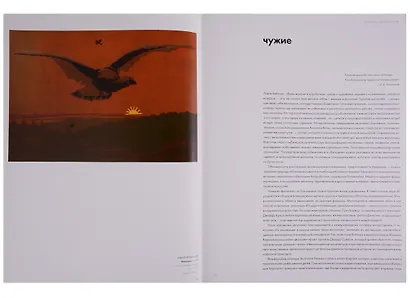 Рожденные летать… и ползать - фото 5