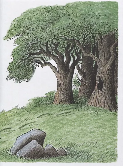 Трусливый Клайд - фото 6