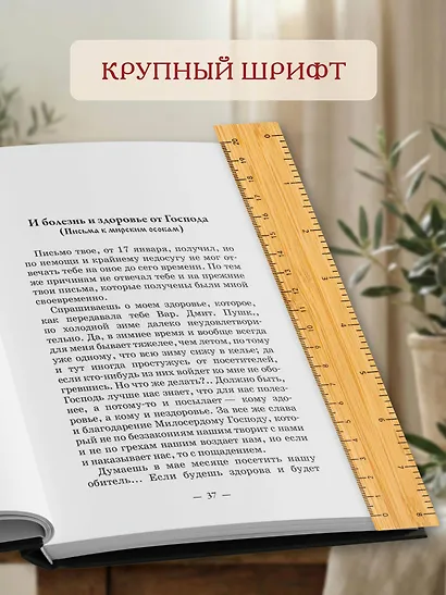 Поучения преподобного Амвросия Оптинского. Супругам и родителям - фото 7