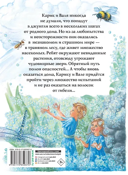 Необыкновенные приключения Карика и Вали - фото 2