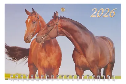 Календарь квартальный 2026г 195*465 "Год Лошади. Вид 1" настенный, трёхблочный, спираль - фото 2
