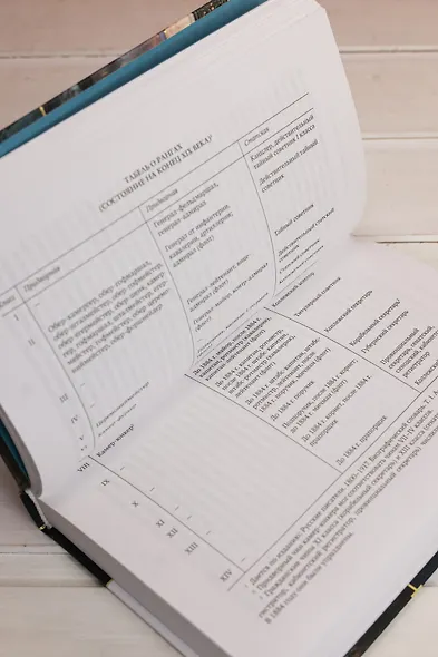 Блистательный и преступный. Хроники петербургских преступлений - фото 13