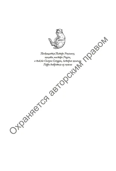 Гарри Поттер и Кубок Огня (Хуффльпуфф) - фото 6