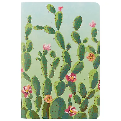 Тетрадь общая «Blooming cactus», 24 листа в клетку, А5, в ассортименте - фото 1